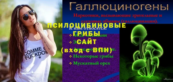ешки Аркадак